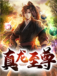 《林峰柳无雪柳镇涛叶天玄》小说