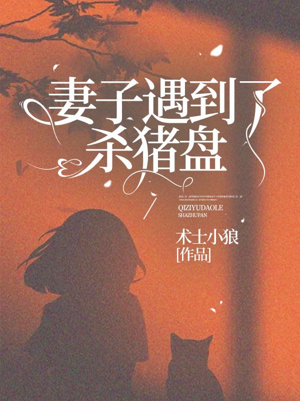 《妻子遇到了杀猪盘》程林海小美