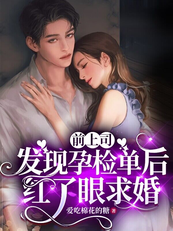 《许南星傅斯年许文山张雪梅》小说
