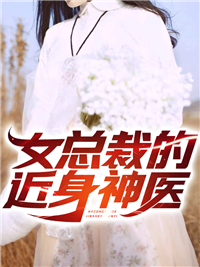 《林萧苏晴张芸袁家》小说