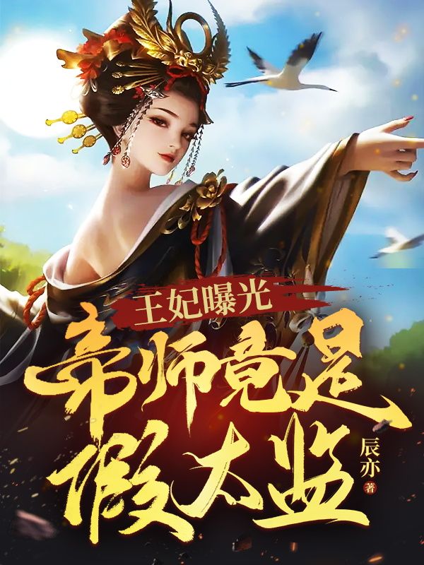 《李辰冰儿郑九思温兮雨》小说