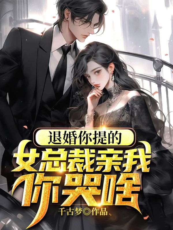 《陈天柳青澜》小说