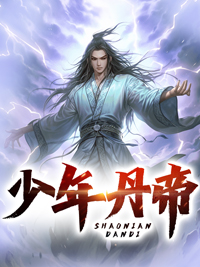 《仇生丁啸苍薛家寨》小说